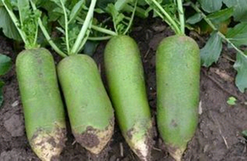 1701405453782203.png 微信圖片_20231127182846_副本.png